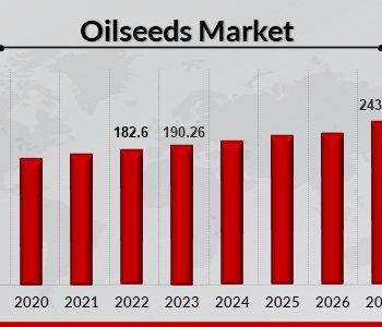 Oilseeds_Market (6)
