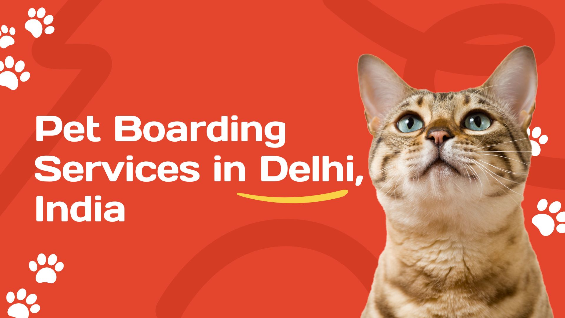 Pet Boarding Services in Delhi India