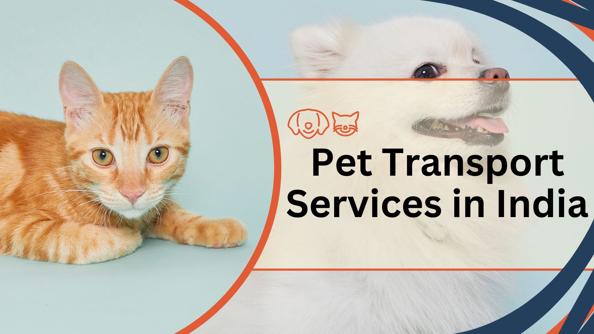 Pet Transport Services in India