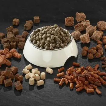 Petfood-chewy-treats-and-snacks-resized