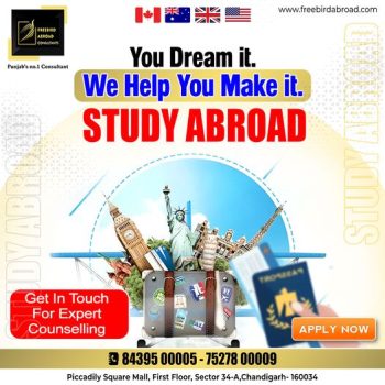 Study Abroad Consultation  UK, USA, Canada, Australia