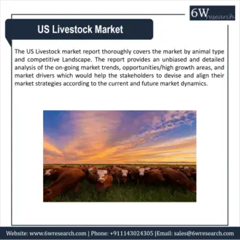 US Livestock Market