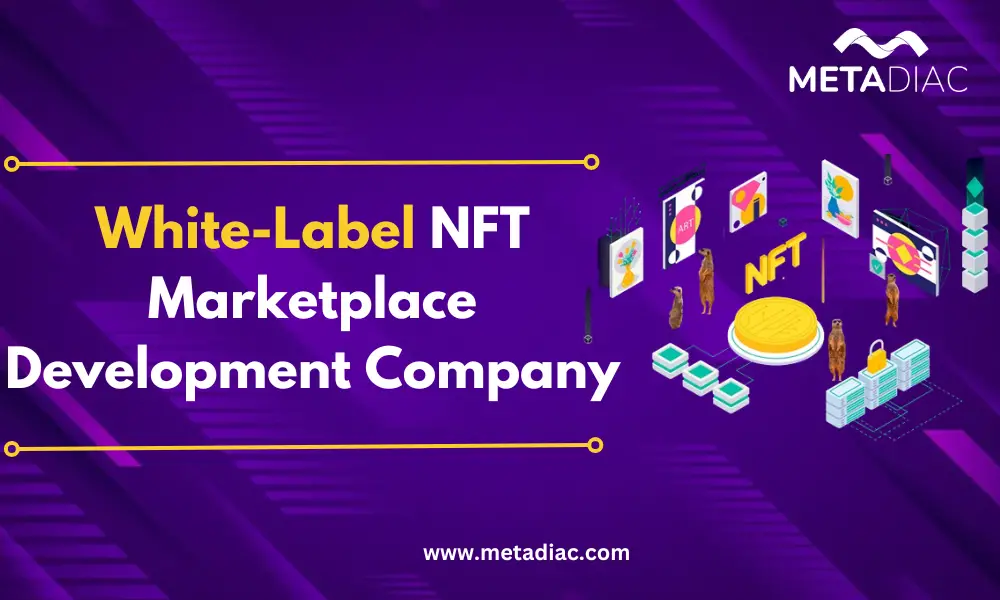 White-Label NFT Marketplace Development Company