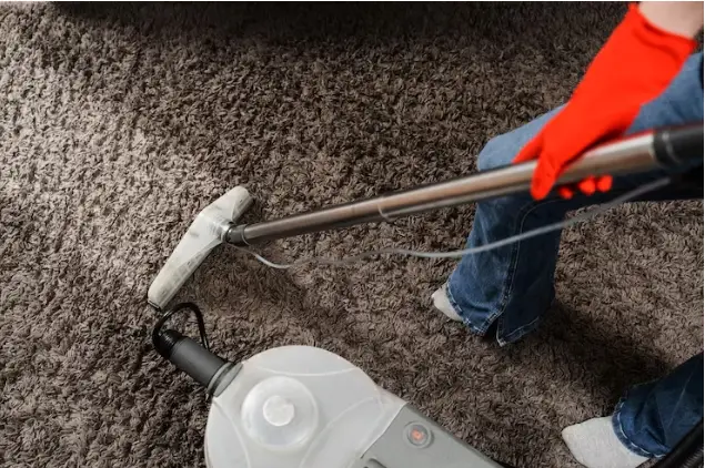 carpet cleaning nyc