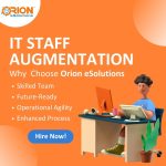 IT Staff Augmentation Company