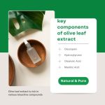 key-components-of-olive-leaf-extract
