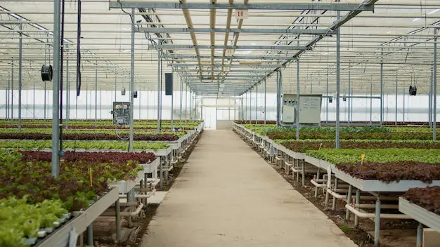 no-people-greenhouse-with-irrigation-system-control-pannels-growing-organic-lettuce-hydroponic-enviroment-empty-glasshouse-with-bio-food-being-grown-organically-with-no-pesticides_482257-46866