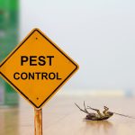 pest-control