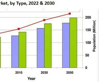 Agrochemicals_Market__by_Type__2022___2030_