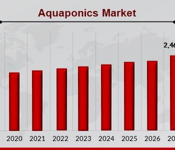 Aquaponics_Market (1)