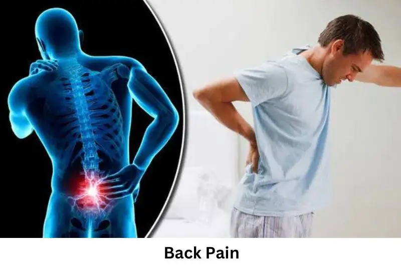 Back Pain