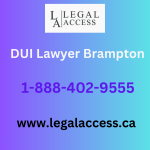 DUI Lawyer Brampton (1)