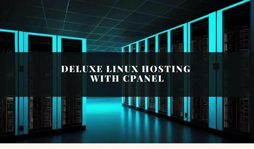 Deluxe Linux Hosting with cPanel