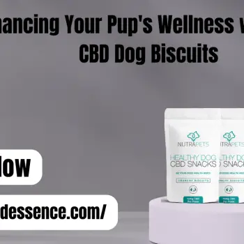 Enhancing Your Pup's Wellness with 10mg CBD Dog Biscuits