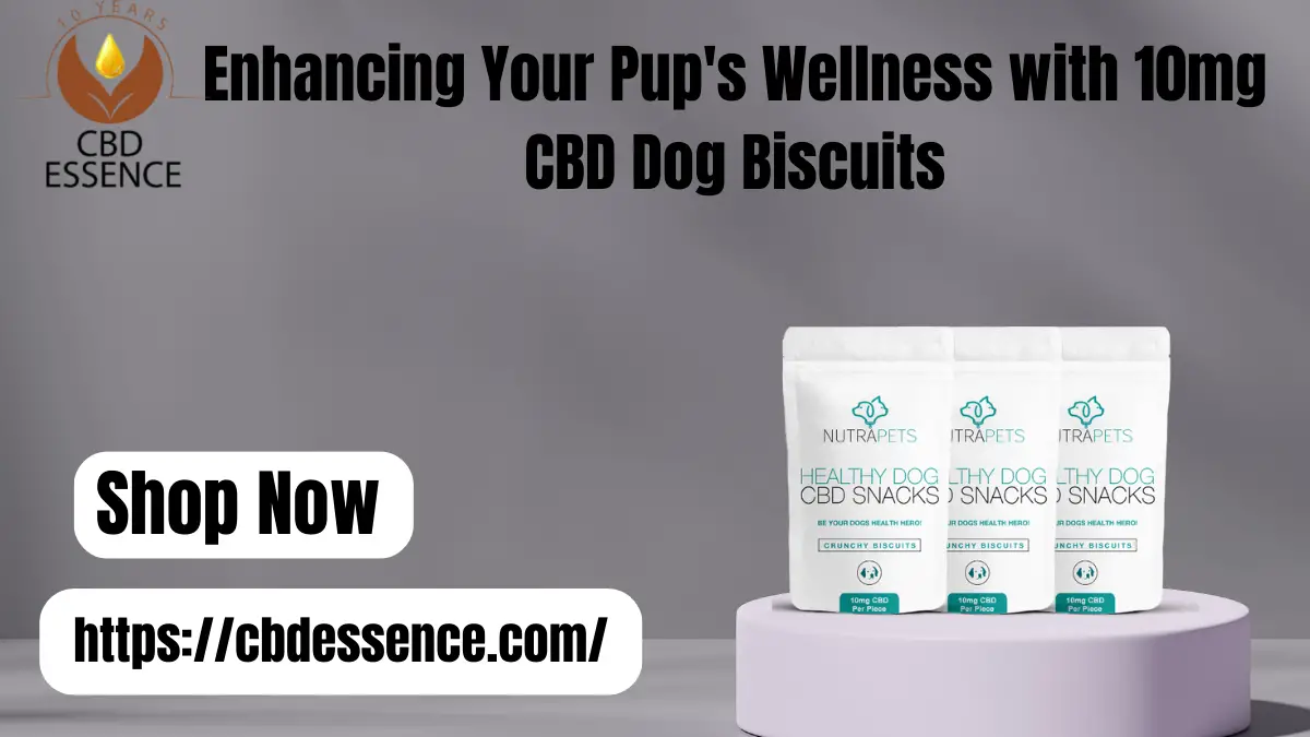 Enhancing Your Pup's Wellness with 10mg CBD Dog Biscuits