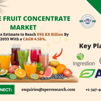 Europe Fruit Concentrate Market