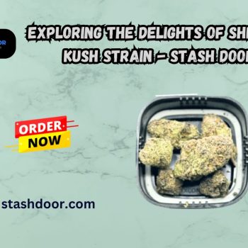 Exploring the Delights of Sherbet Kush Strain - Stash Door