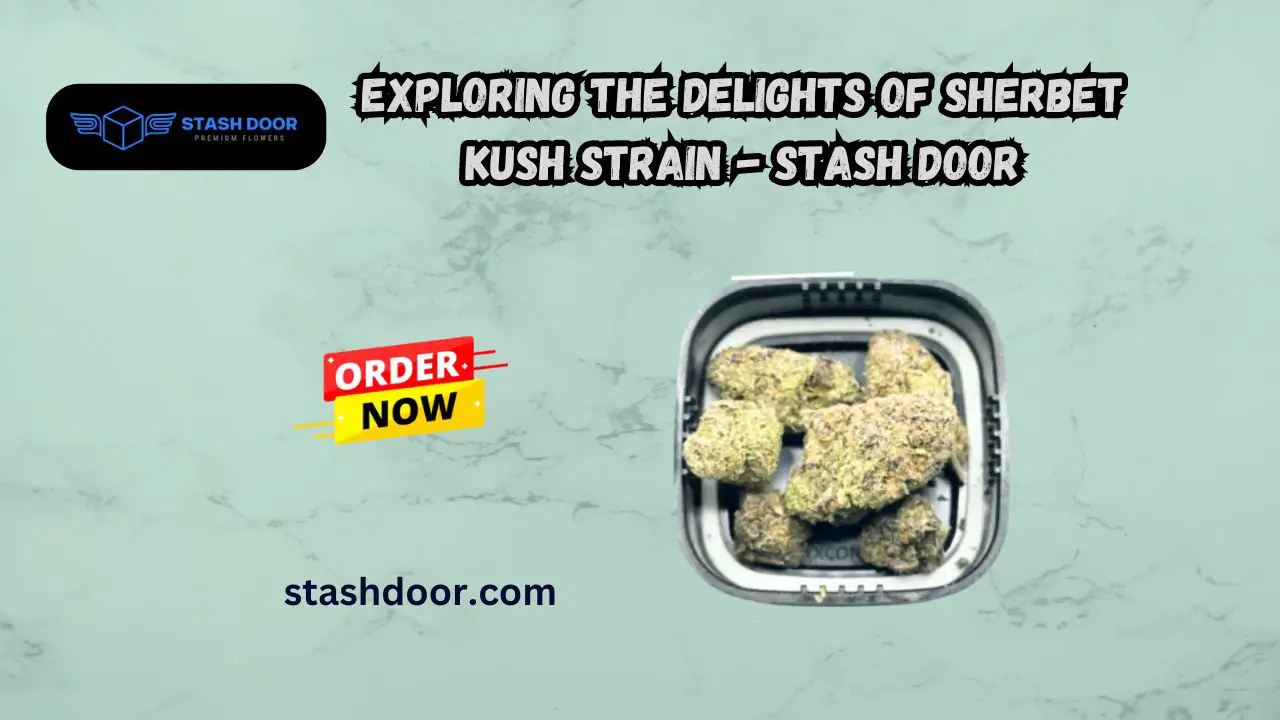 Exploring the Delights of Sherbet Kush Strain - Stash Door
