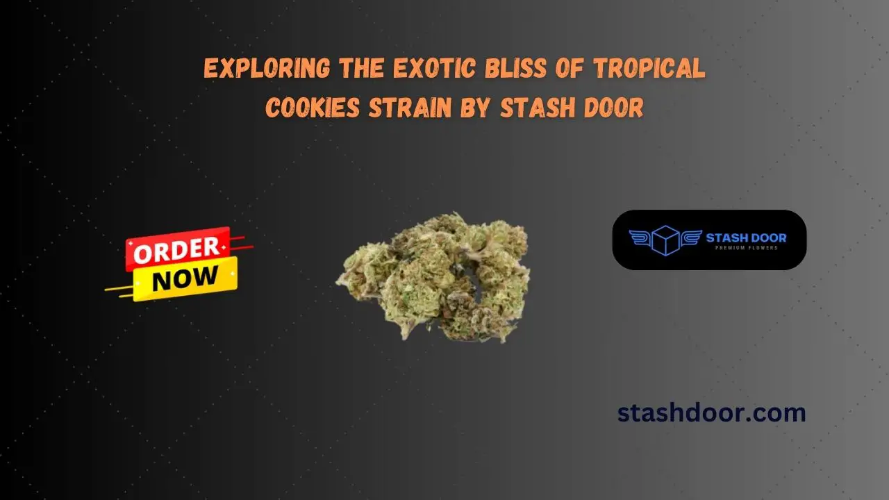 Exploring the Exotic Bliss of Tropical Cookies Strain by Stash Door