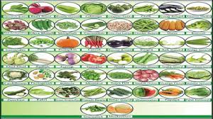 Fruits & Vegetable Seeds11