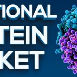 Functional Protein Market