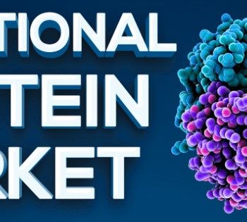 Functional Protein Market