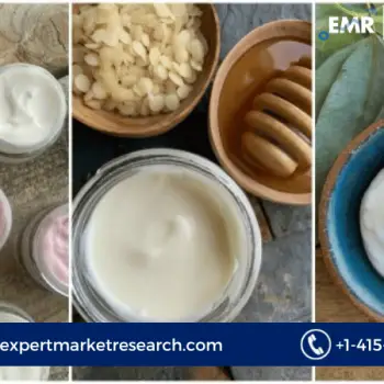 Home and Personal Care Preservatives Market