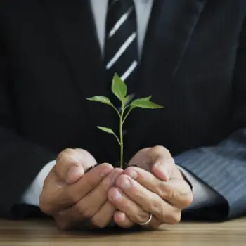 Image of a person in a suit is holding a small plant in his hands