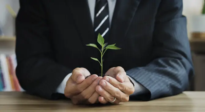 Image of a person in a suit is holding a small plant in his hands