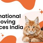 International Pet Moving Services India