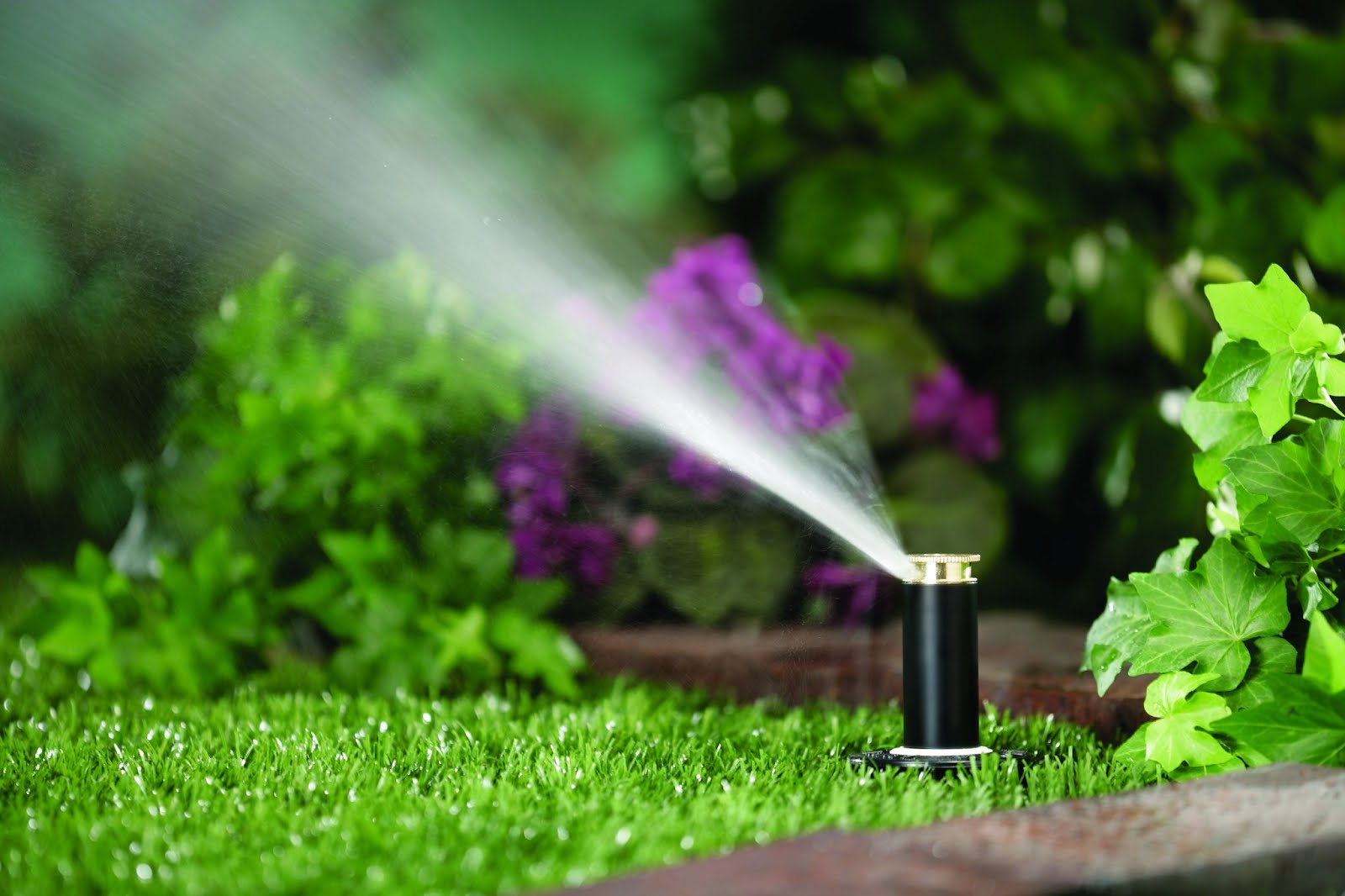 Irrigation Services