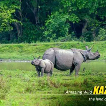 Kaziranga-Elephant-Safari-Package -Tour