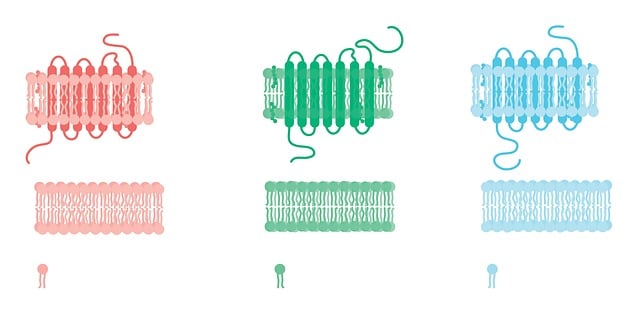 Lipid Market