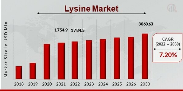 Lysine_Market (4)