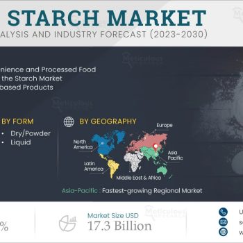 Modified-Starch-Market