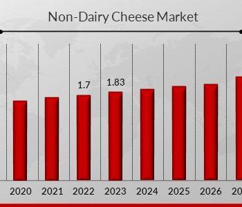 Non-Dairy Cheese Market 1