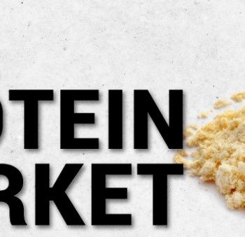 Pea Protein Market