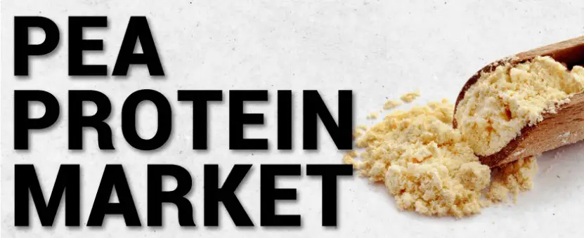 Pea Protein Market
