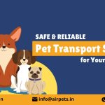 Pet Transport Services