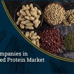 Plant-Based-Protein-Market-1