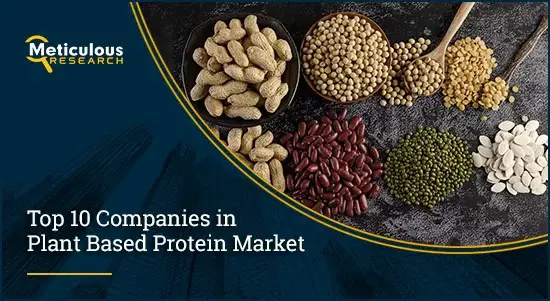 Plant-Based-Protein-Market-1