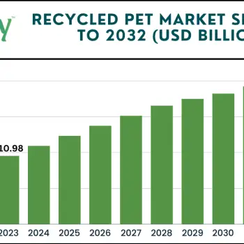 Recycled PET Market size