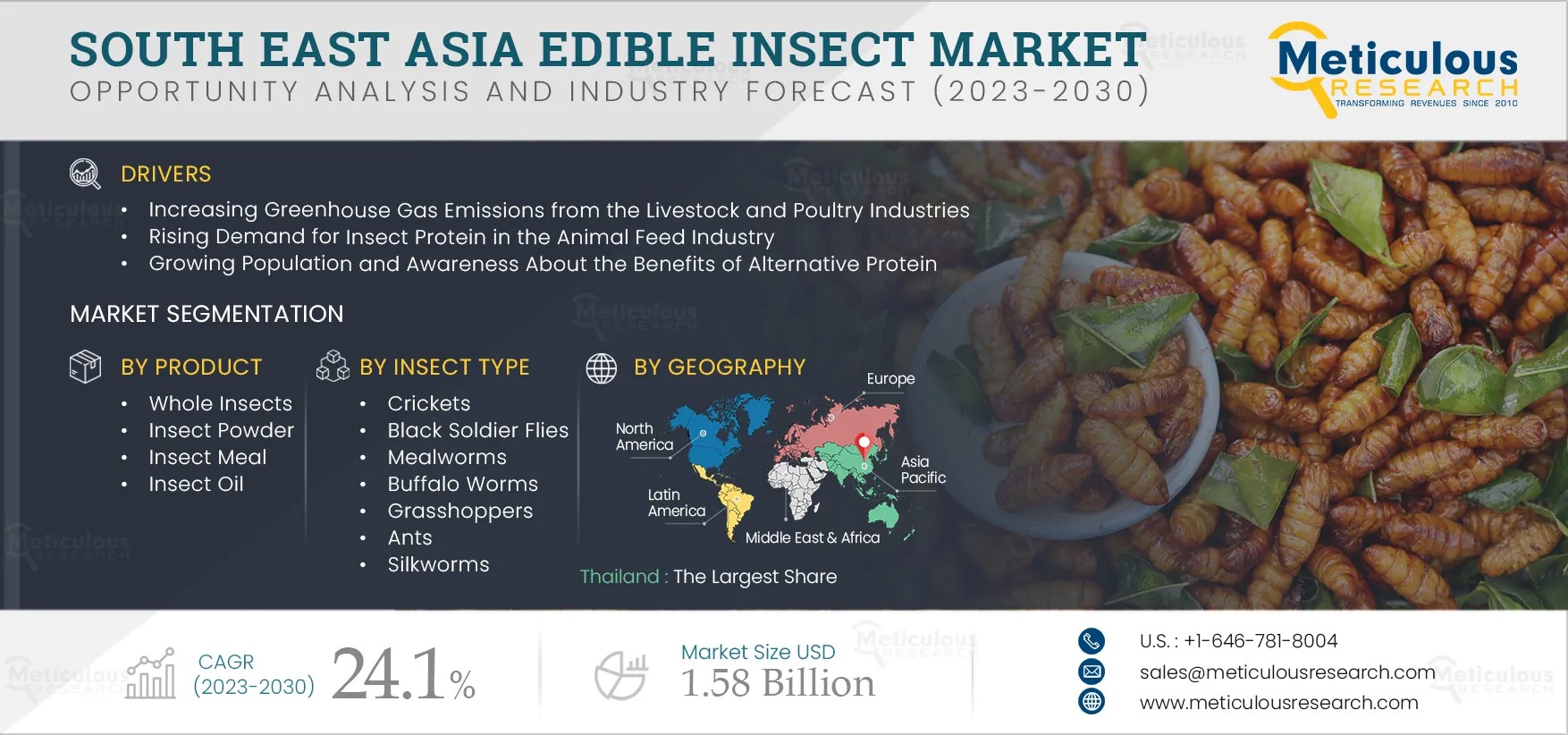 South-East-Asia-Edible-Insect-Market