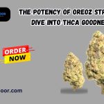 The Potency of Oreoz Strain A Dive into THCA Goodness