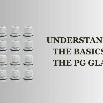Understanding the Basics of the Pg Gland