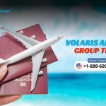 Volaris Airlines Group Travel (1)