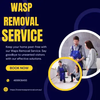 Wasp Removal