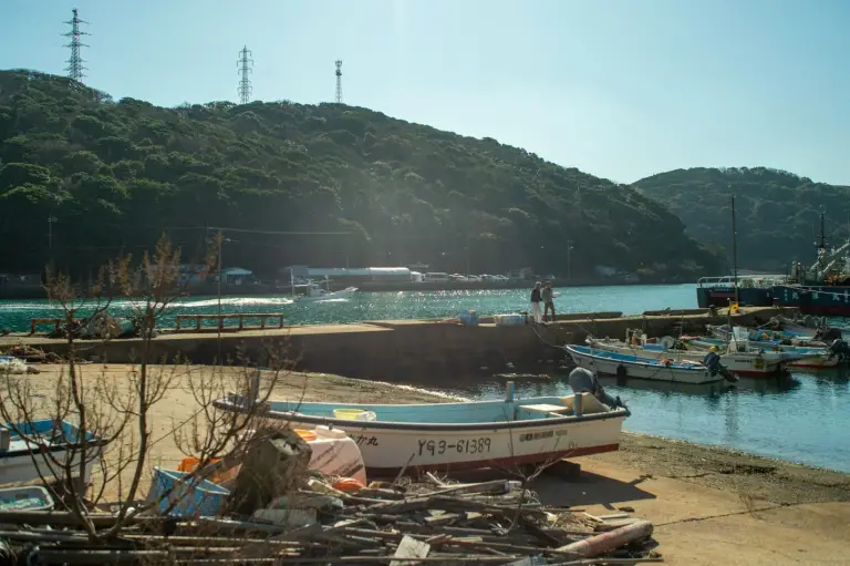 boats docked by the shore 