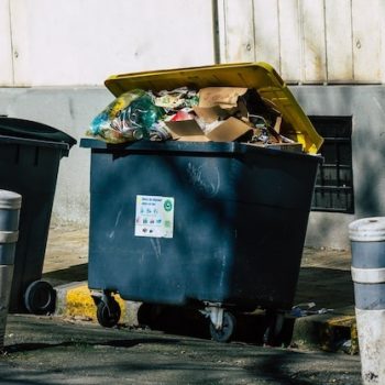 garbage-bin-by-street_1048944-1138650