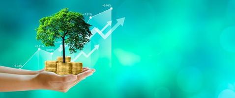 hand-holding-growing-tree-on-coins-with-stock-graph-over-green-background-photo